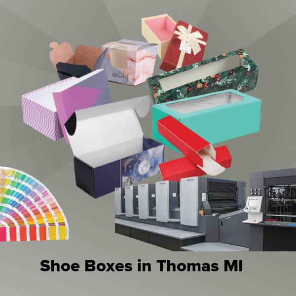 Shoe boxes in thomas mi