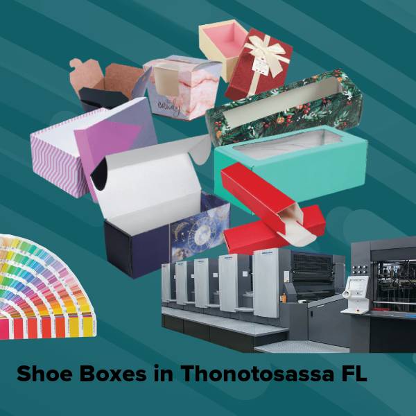 Shoe boxes in thonotosassa fl