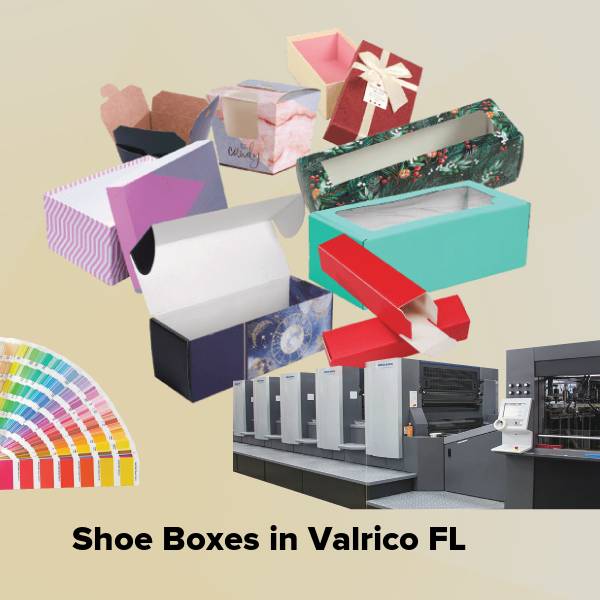 Shoe boxes in valrico fl