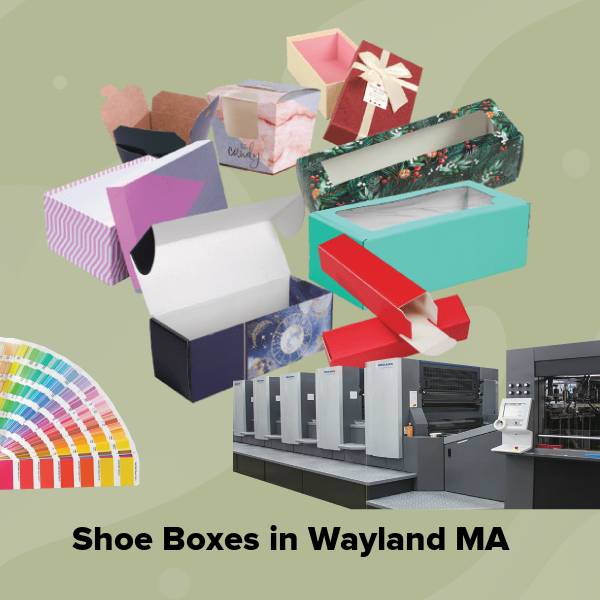 Shoe boxes in wayland ma
