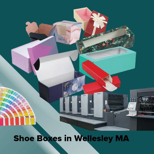 Shoe boxes in wellesley ma