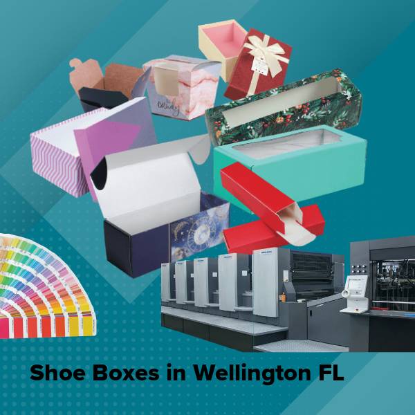 Shoe boxes in wellington fl
