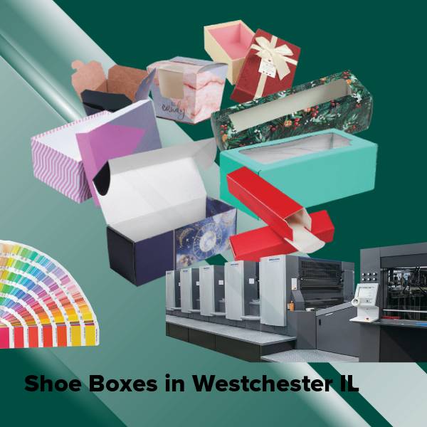 Shoe boxes in westchester il