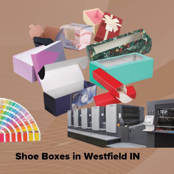 Shoe boxes in westfield in