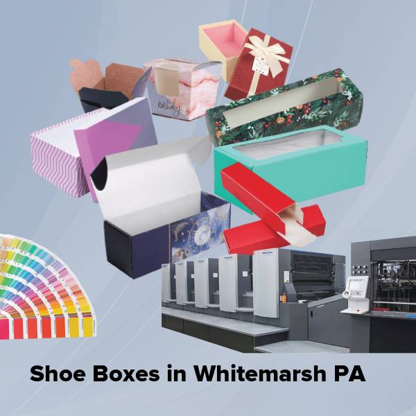 Shoe boxes in whitemarsh pa