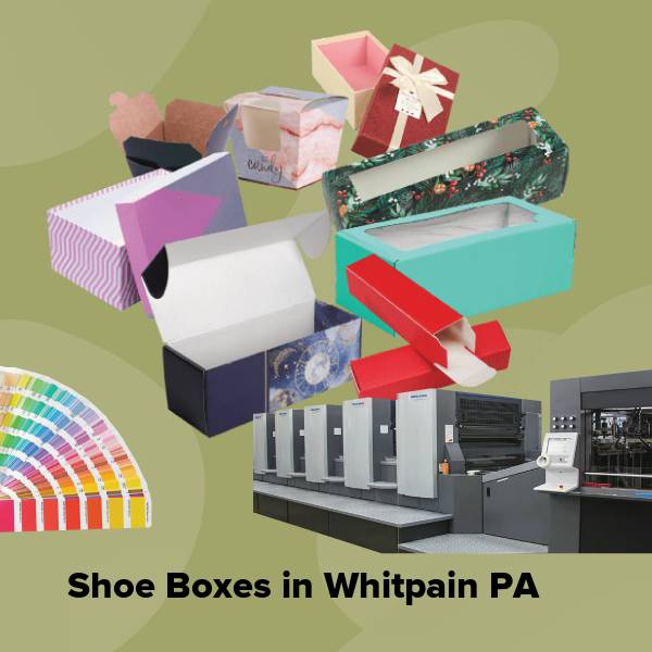 Shoe boxes in whitpain pa