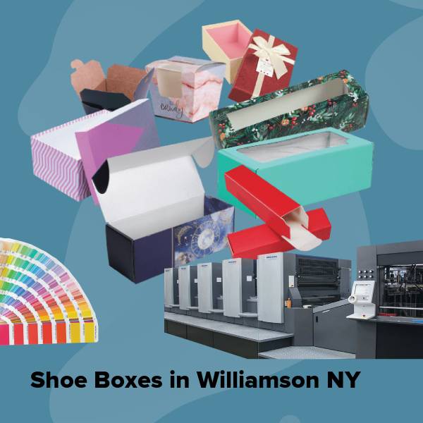 Shoe boxes in williamson ny