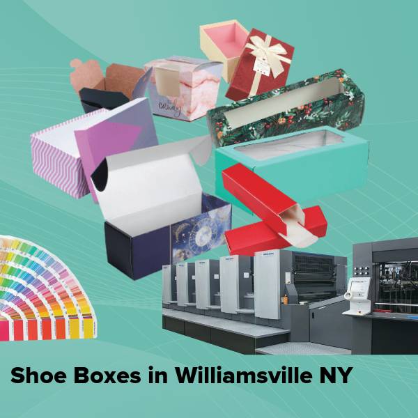 Shoe boxes in williamsville ny
