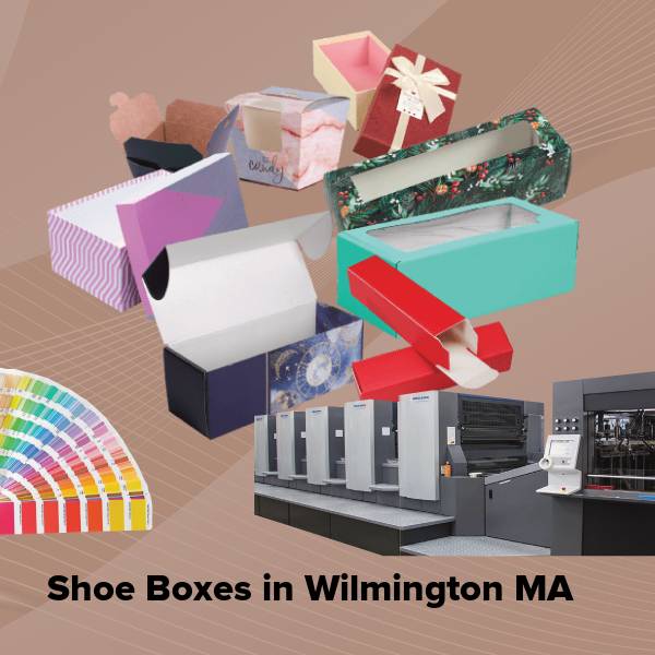 Shoe boxes in wilmington ma