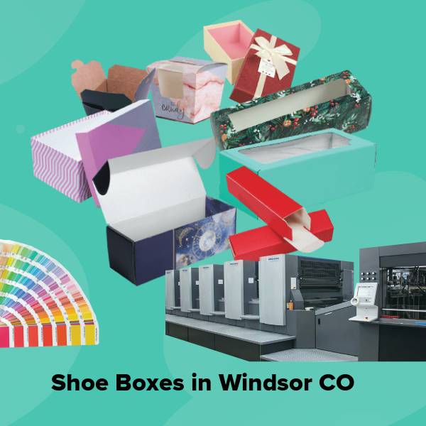 Shoe boxes in windsor co