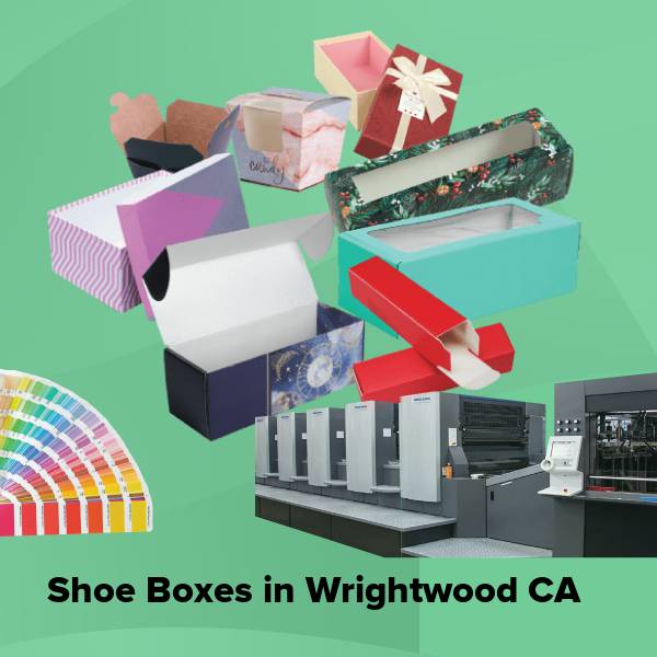 Shoe boxes in wrightwood ca