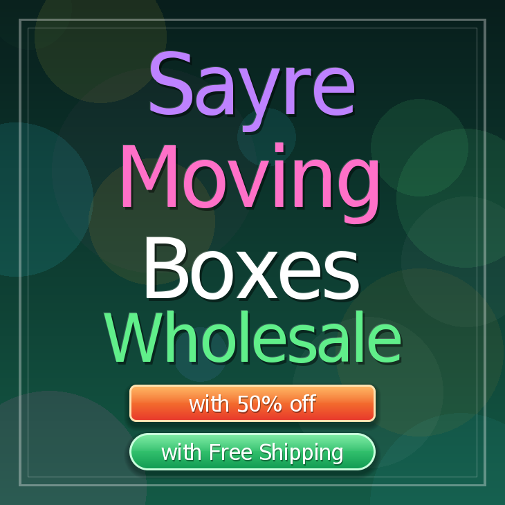 Sayre moving boxes