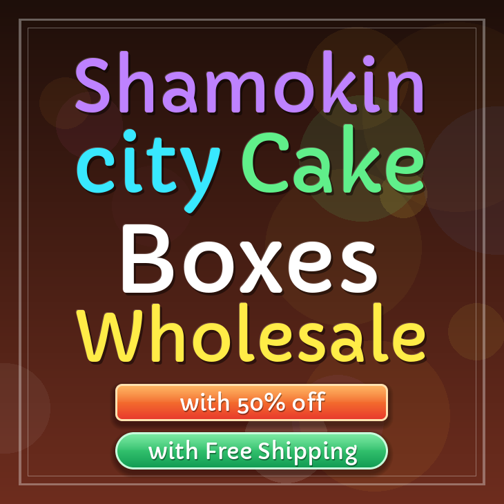 Shamokin City cake boxes