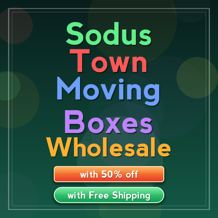 Sodus Town moving boxes