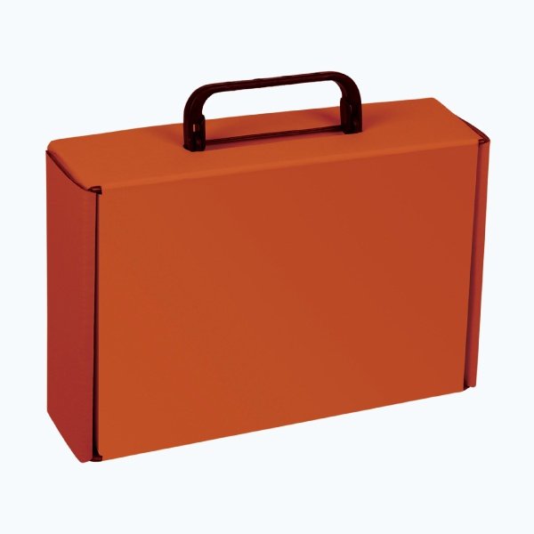 Brief case tab in box packaging