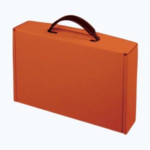 Brief Case Tab In Boxes