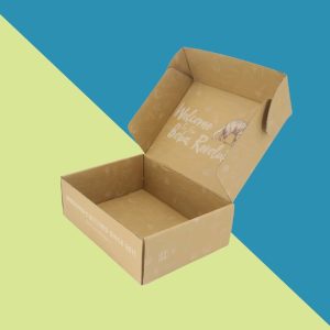 Cookie Mailing Boxes