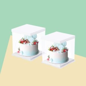 Custom Clear cookie boxes