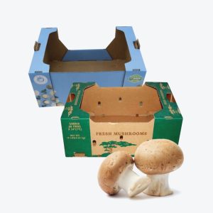 Mushroom Boxes