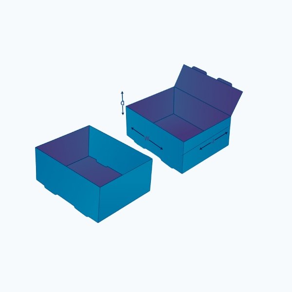 Custom printed foot lock tray boxes