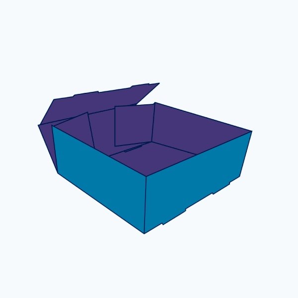 Foot lock tray box packaging