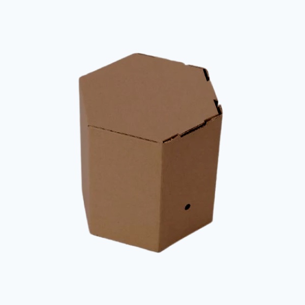 Hexagon tab lock box packaging