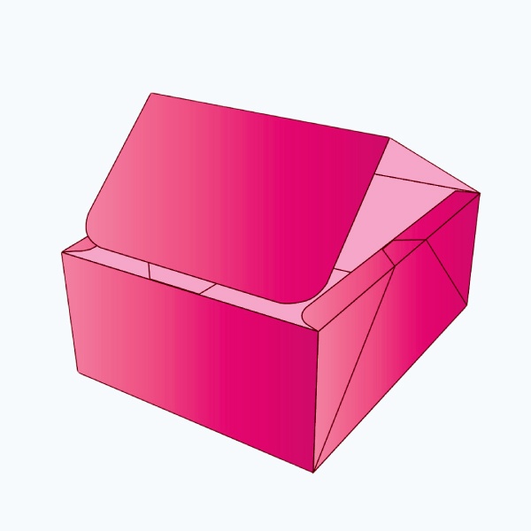 Lock bottom display lid box packaging