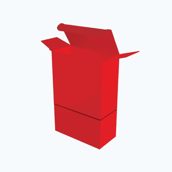 Seal end auto bottom box packaging