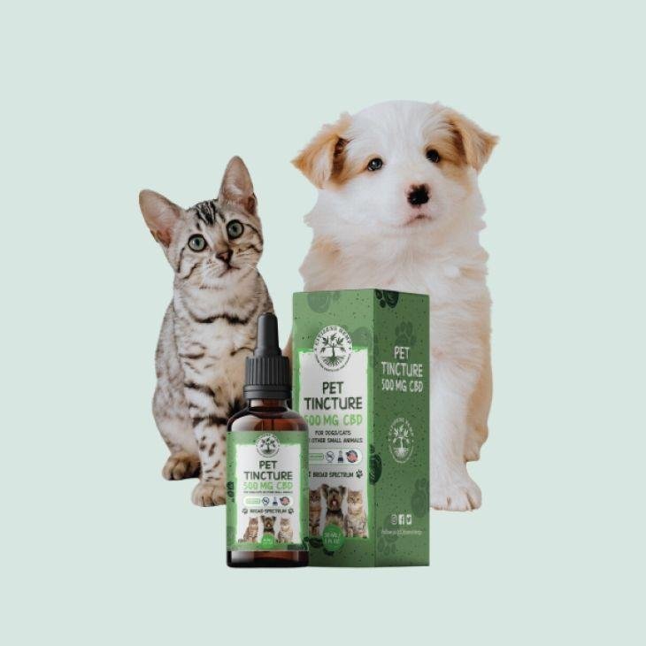 Rusk cardboard boxes and packaging