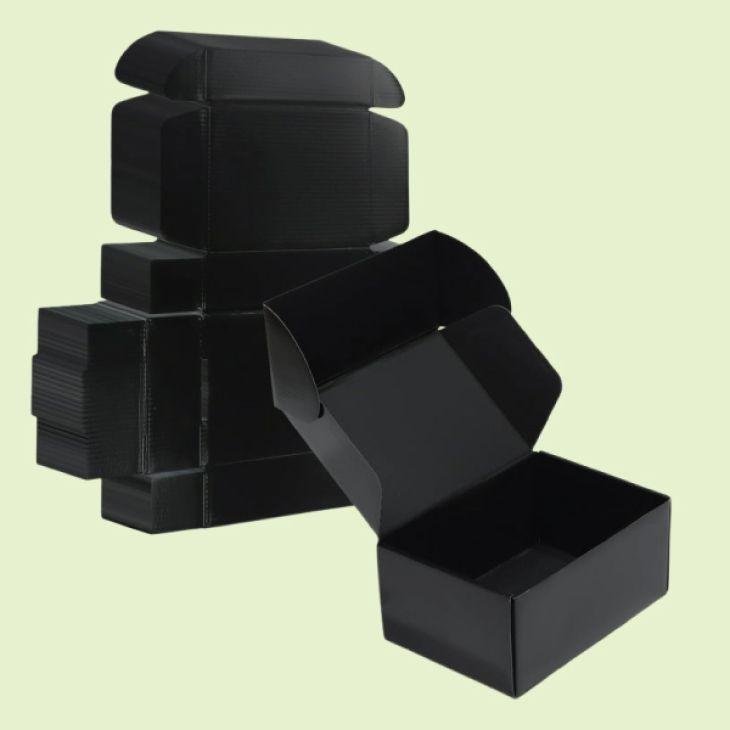 Webster cardboard boxes and packaging